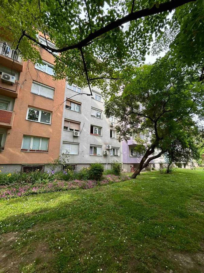Matej Lux Apartman
